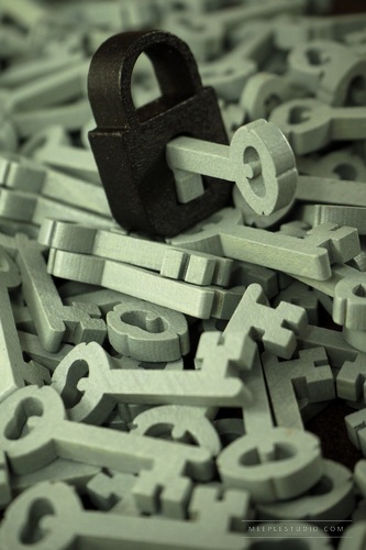 meeple dark padlock with gray key